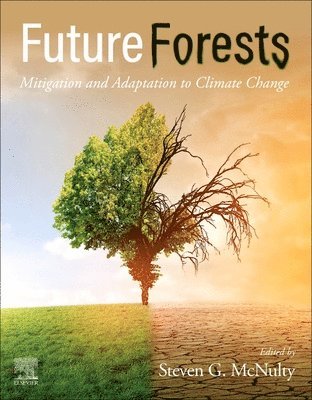 bokomslag Future  Forests
