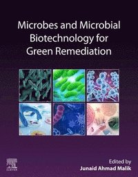 bokomslag Microbes and Microbial Biotechnology for Green Remediation