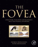 Andreas Bringmann, Peter Wiedemann - The Fovea, Häftad