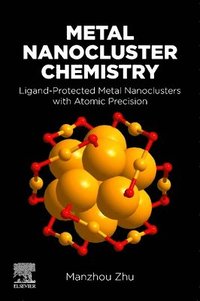 bokomslag Metal Nanocluster Chemistry