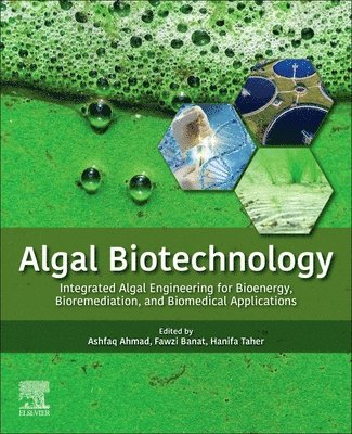 bokomslag Algal Biotechnology