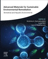 Dimitrios A Giannakoudakis, Lucas Meili, Ioannis Anastopoulos - Advanced Materials for Sustainable Environmental Remediation, Häftad
