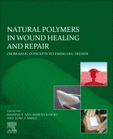 Mahesh K. Sah, Naresh Kasoju, Joao F. Mano - Natural Polymers in Wound Healing and Repair, Häftad