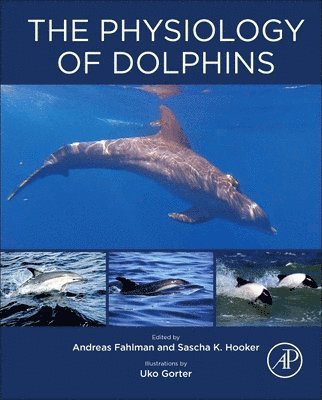 bokomslag Physiology of Dolphins
