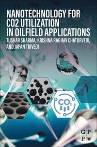 bokomslag Nanotechnology for CO2 Utilization in Oilfield Applications