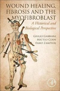 bokomslag Wound Healing, Fibrosis, and the Myofibroblast