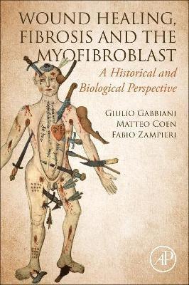 Wound Healing, Fibrosis, and the Myofibroblast 1