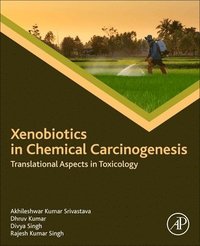 bokomslag Xenobiotics in Chemical Carcinogenesis
