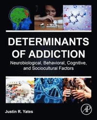 bokomslag Determinants of Addiction