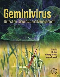 bokomslag Geminivirus: Detection, Diagnosis and Management