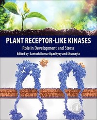bokomslag Plant Receptor-Like Kinases