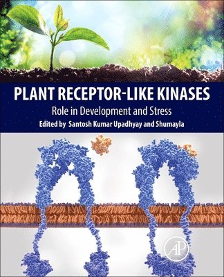 Plant Receptor-Like Kinases 1