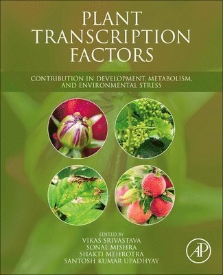 bokomslag Plant Transcription Factors