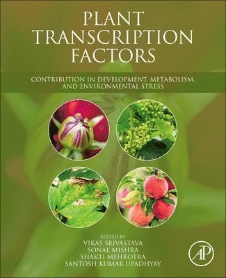 Plant Transcription Factors 1