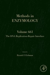 bokomslag The DNA Replication-Repair Interface