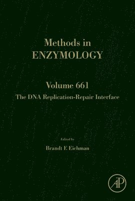 bokomslag The DNA Replication-Repair Interface