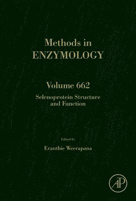 bokomslag Selenoprotein Structure and Function