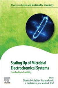 bokomslag Scaling Up of Microbial Electrochemical Systems