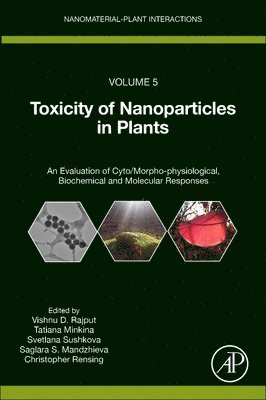 Toxicity of Nanoparticles in Plants 1