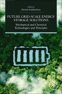 bokomslag Future Grid-Scale Energy Storage Solutions
