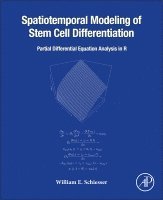Spatiotemporal Modeling of Stem Cell Differentiation