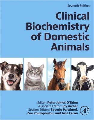 bokomslag Clinical Biochemistry of Domestic Animals