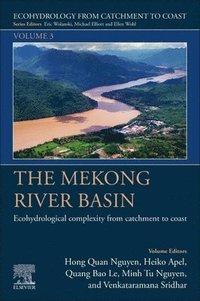 bokomslag The Mekong River Basin