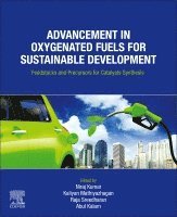 Niraj Kumar, Kaliyan Mathiyazhagan, V. Raja Sreedharan, Abul Kalam - Advancement in Oxygenated Fuels for Sustainable Development, Häftad