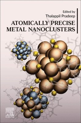 bokomslag Atomically Precise Metal Nanoclusters