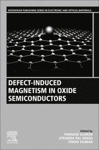bokomslag Defect-Induced Magnetism in Oxide Semiconductors