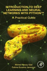 bokomslag Introduction to Deep Learning and Neural Networks with PythonT