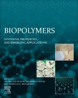 Valentina Sessini, Srabanti Ghosh, Marta E.G. Mosquera - Biopolymers, Häftad
