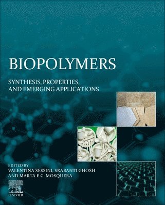 Biopolymers 1