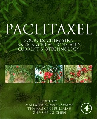 Paclitaxel 1