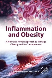 bokomslag Inflammation and Obesity
