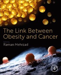bokomslag Link Between Obesity and Cancer