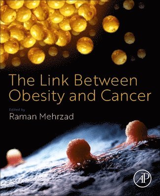 The Link Between Obesity and Cancer 1