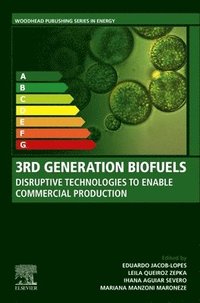 bokomslag 3rd Generation Biofuels
