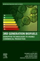 Eduardo Jacob-Lopes, Leila Queiroz Zepka, Ihana Aguiar Severo, Mariana Manzoni Maroneze - 3rd Generation Biofuels, Häftad