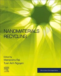 bokomslag Nanomaterials Recycling