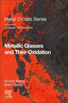 bokomslag Metallic Glasses and Their Oxidation