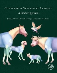 bokomslag Comparative Veterinary Anatomy