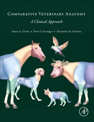 Comparative Veterinary Anatomy 1