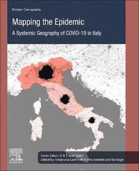 bokomslag Mapping the Epidemic