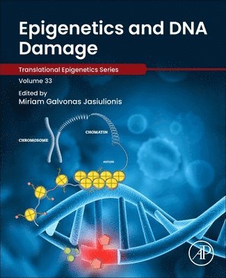bokomslag Epigenetics and DNA Damage