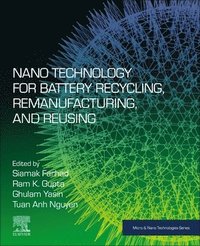 bokomslag Nano Technology for Battery Recycling, Remanufacturing, and Reusing