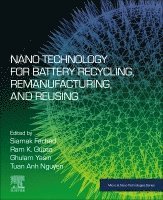 Siamak Farhad, Ghulam Yasin, Tuan Anh Nguyen, Ram K. Gupta - Nano Technology for Battery Recycling, Remanufacturing, and Reusing, Häftad