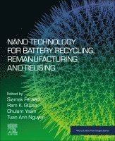 bokomslag Nano Technology for Battery Recycling, Remanufacturing, and Reusing