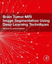 bokomslag Brain Tumor MRI Image Segmentation Using Deep Learning Techniques