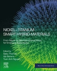 bokomslag Nickel-Titanium Smart Hybrid Materials